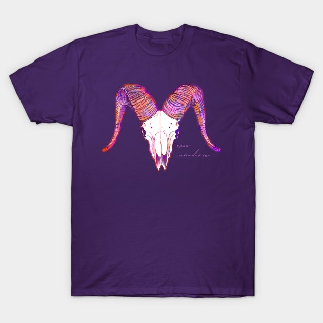 Bighorn Sheep Ram Skull T-Shirt by Nat Rodgers 